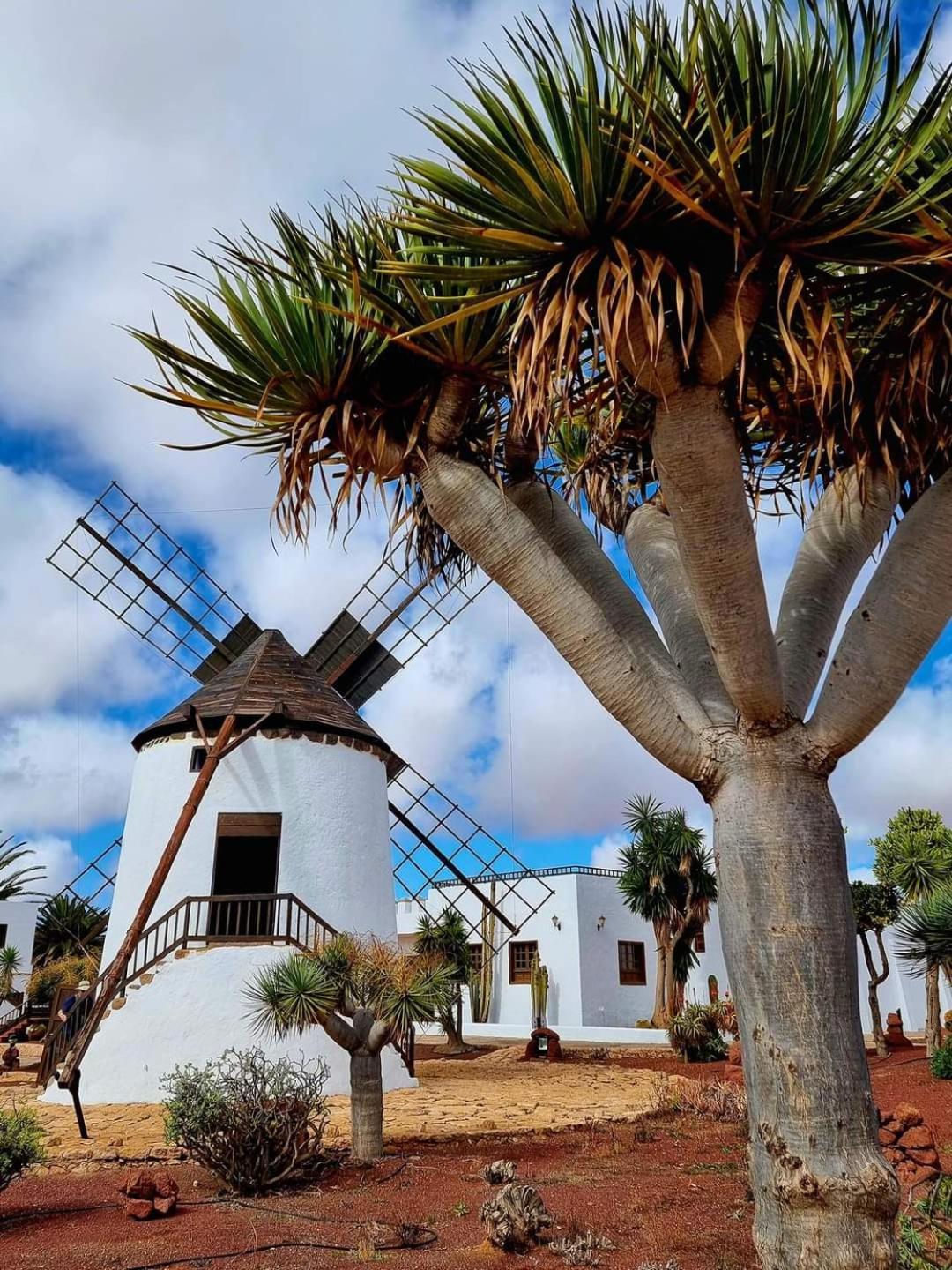 Casa Del Mar Air-Conditioned Apartment With Swimming Pools - Corralejo Playa Екстер'єр фото